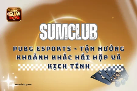 Tham gia Pubg Esports - Tận hưởng khoảnh khắc hồi hộp và kịch tính